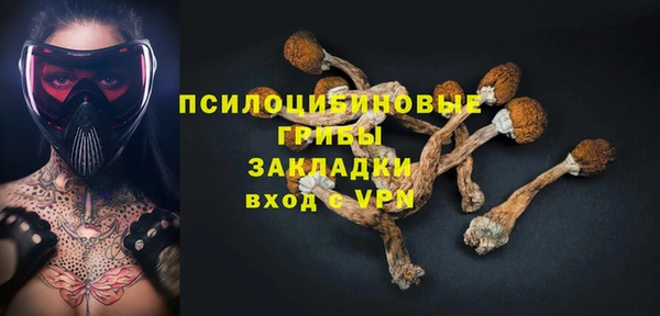 Альфа ПВП Аркадак