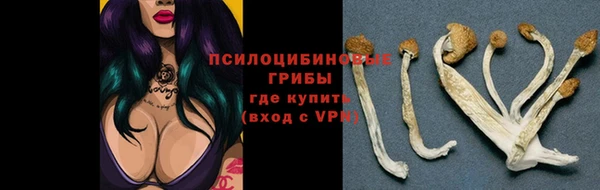 прущая мука Арсеньев