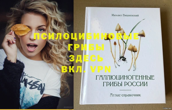 Альфа ПВП Аркадак