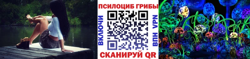 Псилоцибиновые грибы Cubensis  где продают   Карабулак 